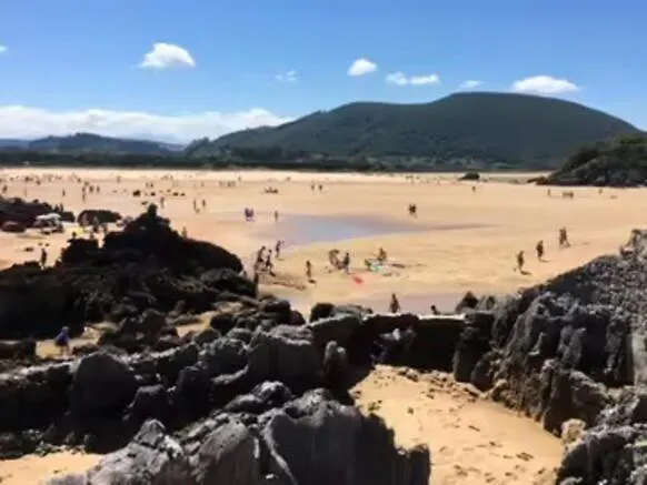 Apartamento En Playa *