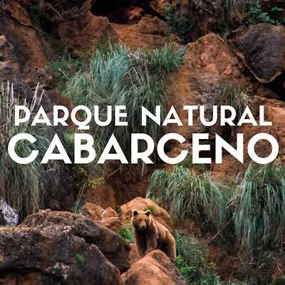 Apartamento En Playa Apartamento *