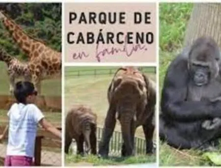 Apartamento En Playa Isla Plana